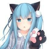萌图猫