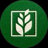 🌾 Наше «ЧИСТОПОЛЬЕ»