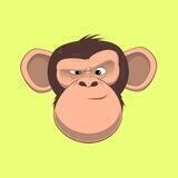 Decimal Monkeys