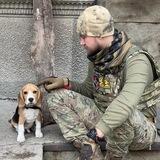 війна це хуйово
