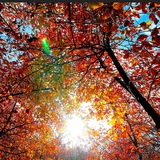 نورِناب