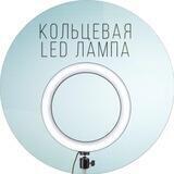 koltsevaya_led_lampa