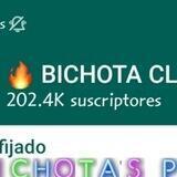 Bichota ADS 📶💲