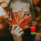 💖شعرهای💖ناب رویای شیرین💖