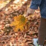•🌙 آوای‌🍂دل✨•
