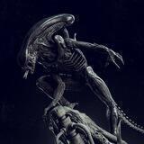 3D Print Model