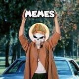 Memetics