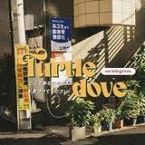 Turtledove : OPEN!