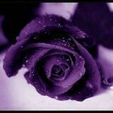 همة فتاة 🌸
