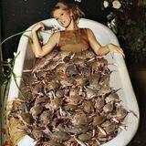 Крабовая барыня