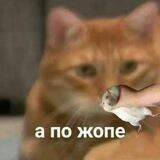 кекальная🐀