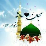 محبان عایشه رضی اللّه عنها