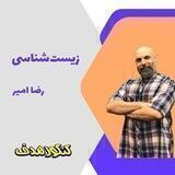 زیست رضا امیر