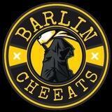 BARLIN | IT