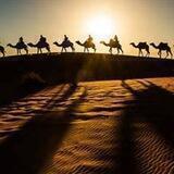 القافلة