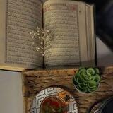 فَرَوْحٌ وَرَيْحَان🌱.