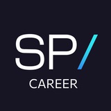 Карьера в Strategy Partners