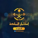🇸🇦 إستثمار السعودية 🇸🇦 والامارات 🇦🇪