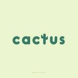 Cactus Store فروشگاه لباس
