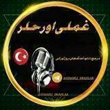 غملی اورحلر