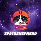 SpaceShepherd | BSC