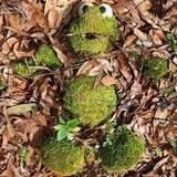 AbandonedPorn