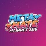 MetaMate French Community