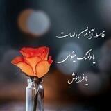 💞 گروهکده نیلوفر 💞