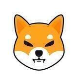 DexRocket SHIB