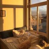 بريـد الضـوء 💛🌤️🌿