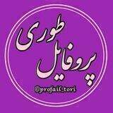 محافظ پروفایل طوری