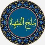 مُلح الفقهاء