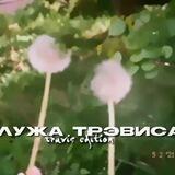 > ! лужа трэвиса