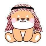SaudiShiba