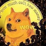 New Shiba Inu (#NSHIB)