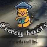 Crazy Facts™💡