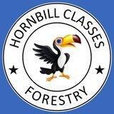 Hornbill Forestry 🌱 IFoS 2023