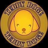 Baby Teddy Doge
