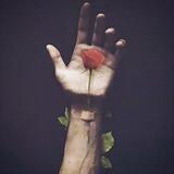 Сад изящных слов 🍃