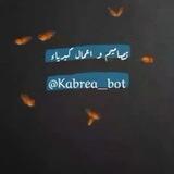تصاميم واعمال كبرياء😌