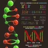 💉🚨MRNA|Impfung|GEN EXPERIMENT|5G|PCR-Lüge|DNA-Datenbank|Corona|GENOZID|Impfkanal|Informationen|Vaccine|💉☣️ WakeUp Media|NEWS⏰