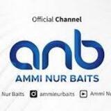 anb channel