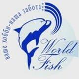 Worldfish channel