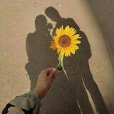 شَمْس🌻