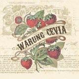 WARUNG CEVIA :: OPEN