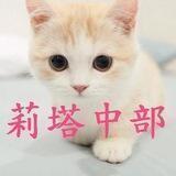 莉塔精選【中部】口袋名單
