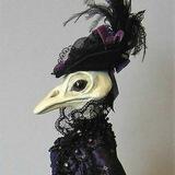 Victorian corvid asylum 🍓🫀