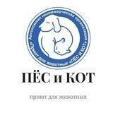 Приют "Пес и кот" Южно-Сахалинск 🐶🐱