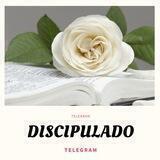 🌷 DISCIPULADO FEMININO