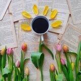 ياحُلماً ما هَان۫ يوماً 🌻